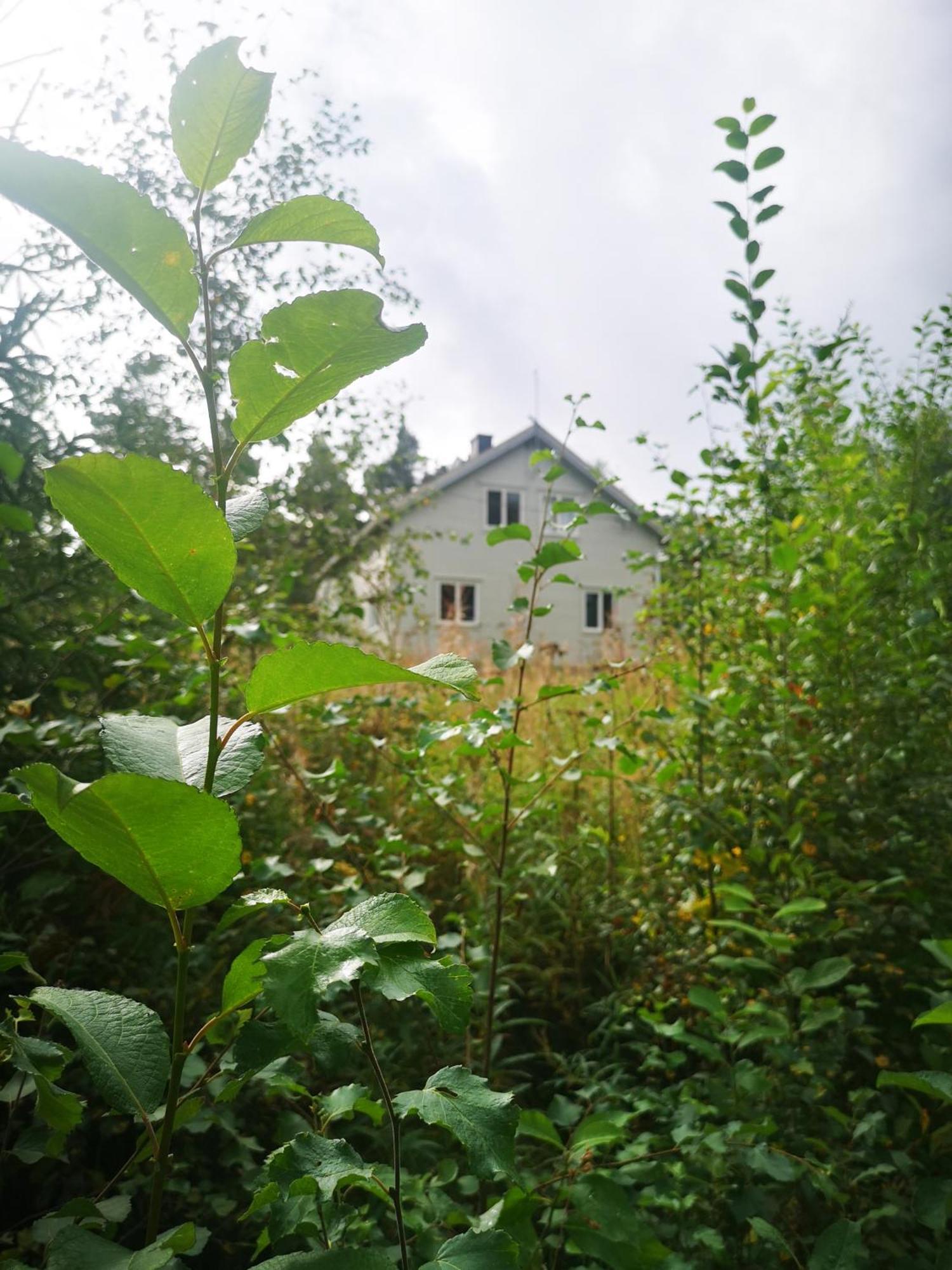 Villa Ka Stor Elvdal Koppang Екстериор снимка