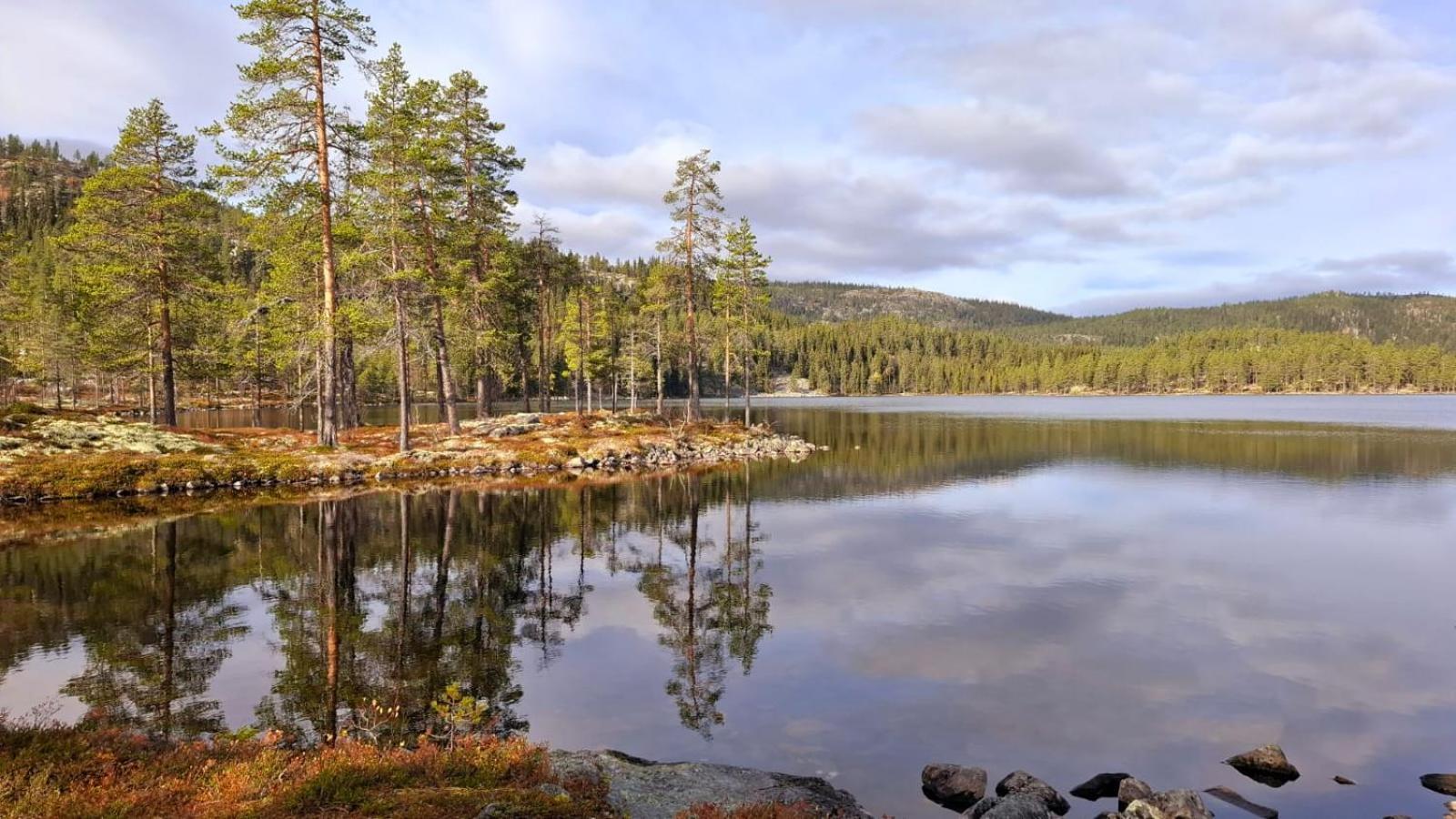 Villa Ka Stor Elvdal Koppang Екстериор снимка