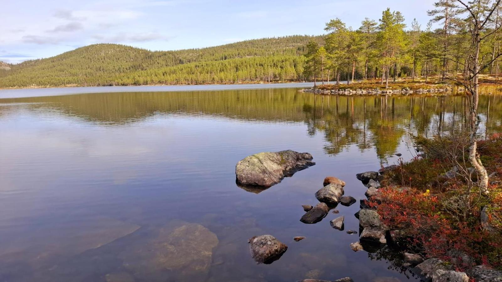 Villa Ka Stor Elvdal Koppang Екстериор снимка