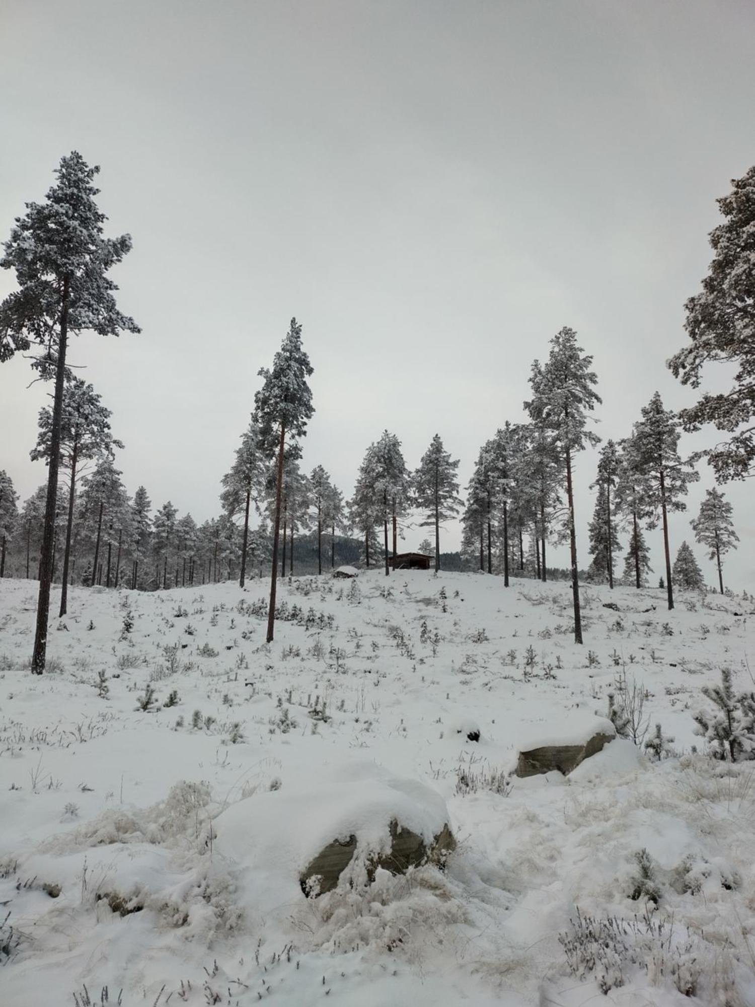 Villa Ka Stor Elvdal Koppang Екстериор снимка
